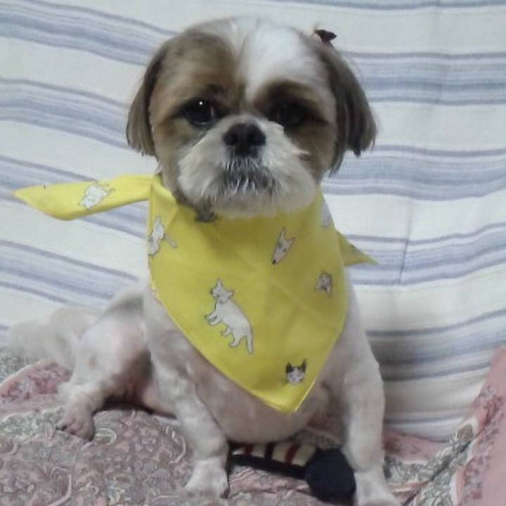 Ff084cda 0be9 4a9d b941 93f3a0504b49