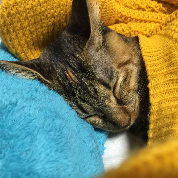 Ff08ec15 de1b 44cb 8655 68738d0c4b5e