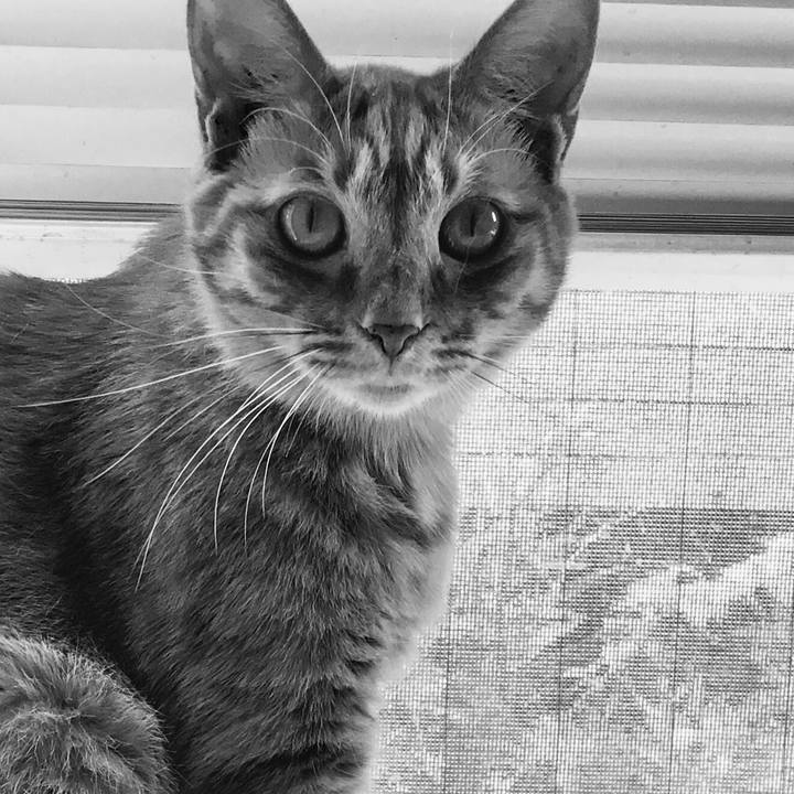 Ff099bc7 37c0 4e84 8f1b 17403b4e2697