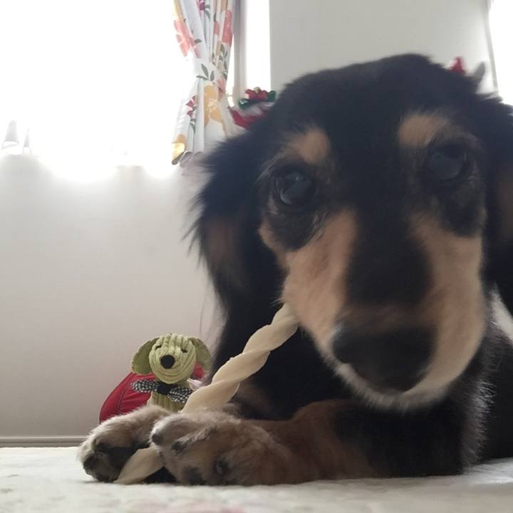 Ff0b85a7 2573 4c47 92ea d65903ec555c