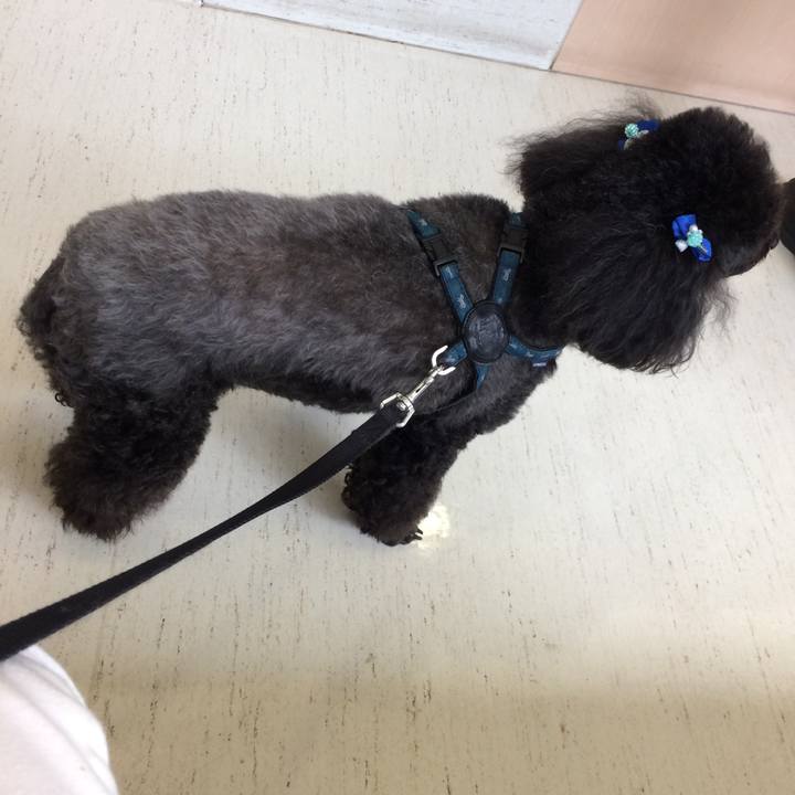 Ff0ba01d 596a 41c2 acf0 458b54287764