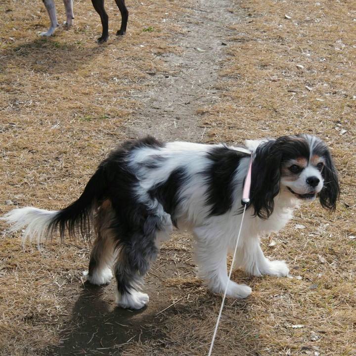 Ff0c29c1 00cd 4a49 873e c81db52fd044