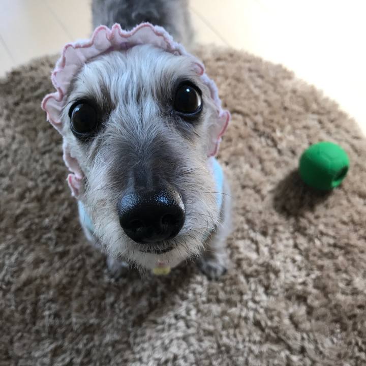 Ff0c50a9 5af2 4fc0 b4f8 9f16b89b4339