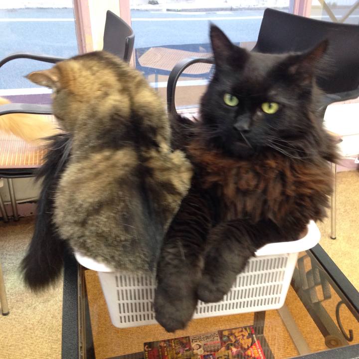 Ff0d4420 01fd 4d60 a2ac 6a6e03ec32d2