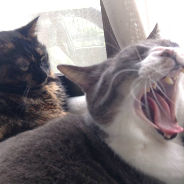 Ff0e4f8d 24de 4556 9db1 998582229f3f