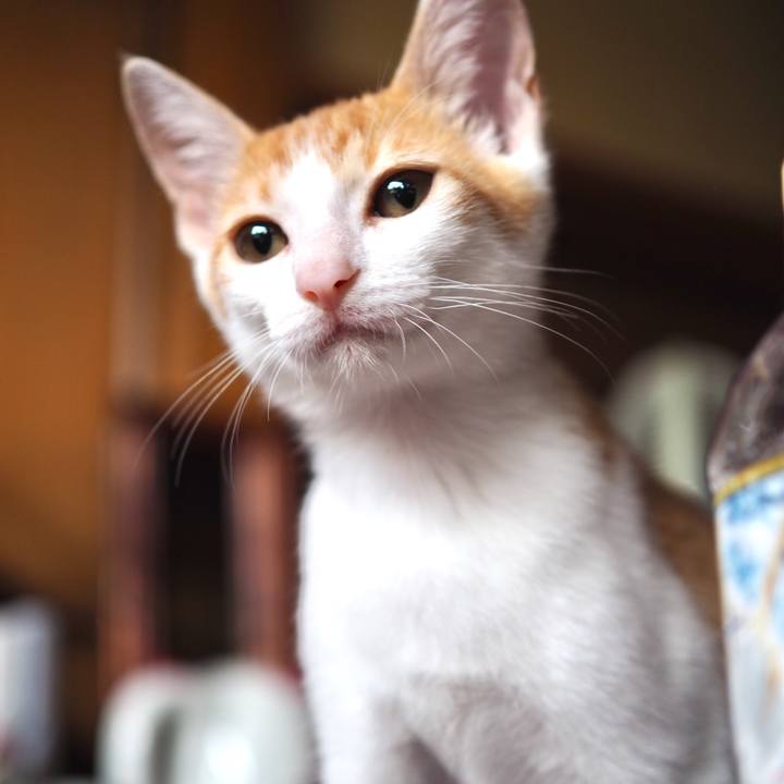 Ff0e5181 8515 413f aa15 9923d6f4bb07