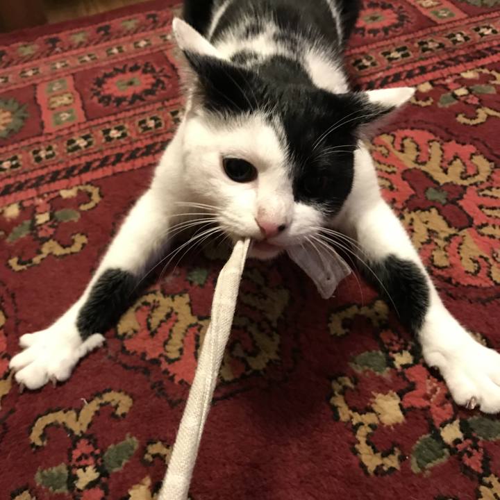 Ff0ea650 3968 494b ae59 42f9d06aa950