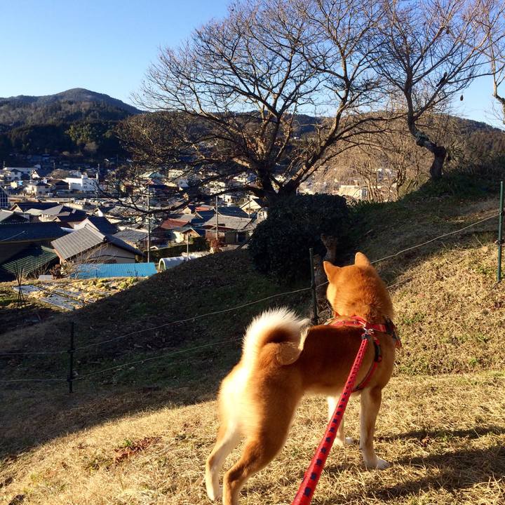 Ff0eaa43 f7e2 43e5 9f83 a25cc9bc832b