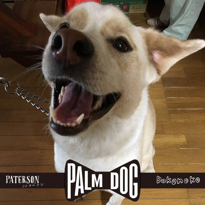 Ff0f04b4 e578 4ae4 93df fbaf71e5647a