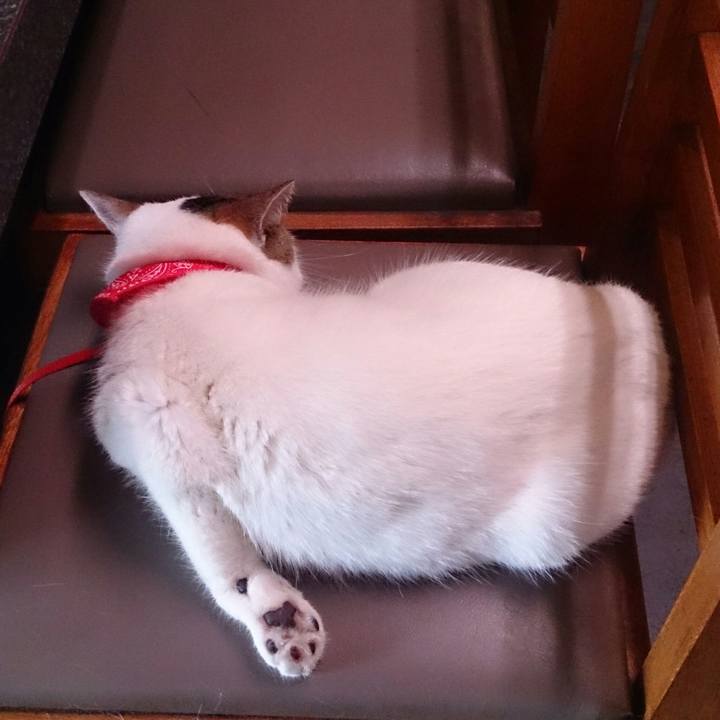 Ff0f379c fa8b 4bd4 b8e3 e2e6e1c058d7