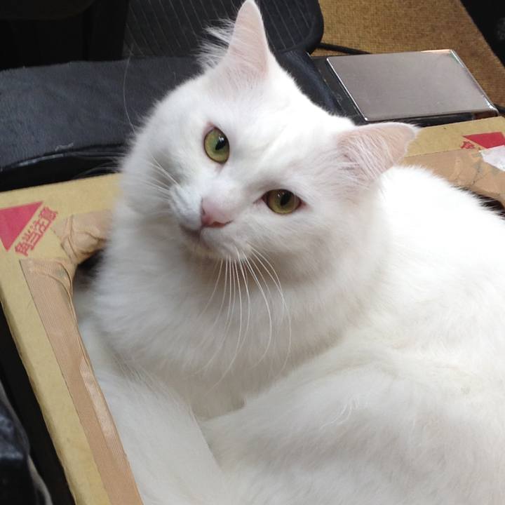 Ff0f396a 6735 45c7 b58c 2a7da2ea9980