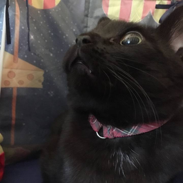 Ff10246a 18da 4229 addd be9395aebaf1