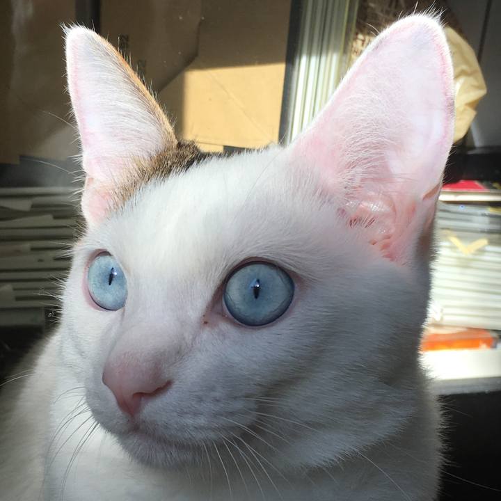 Ff1025fc 8c2b 42ad 9529 7a455da4bea5