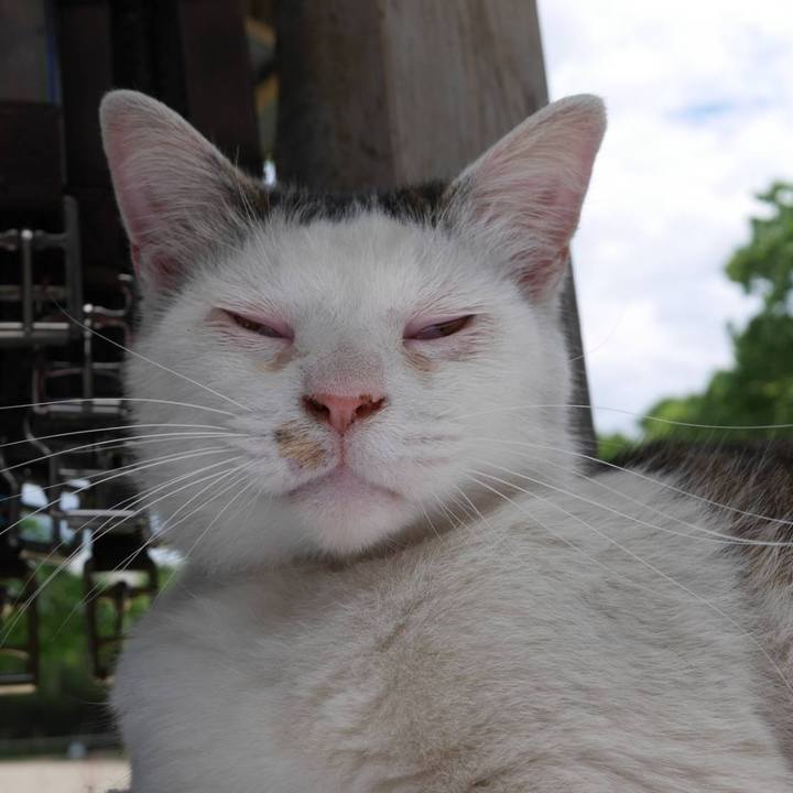 Ff103e2d 9d15 4302 8010 7bb1a1aaebc4