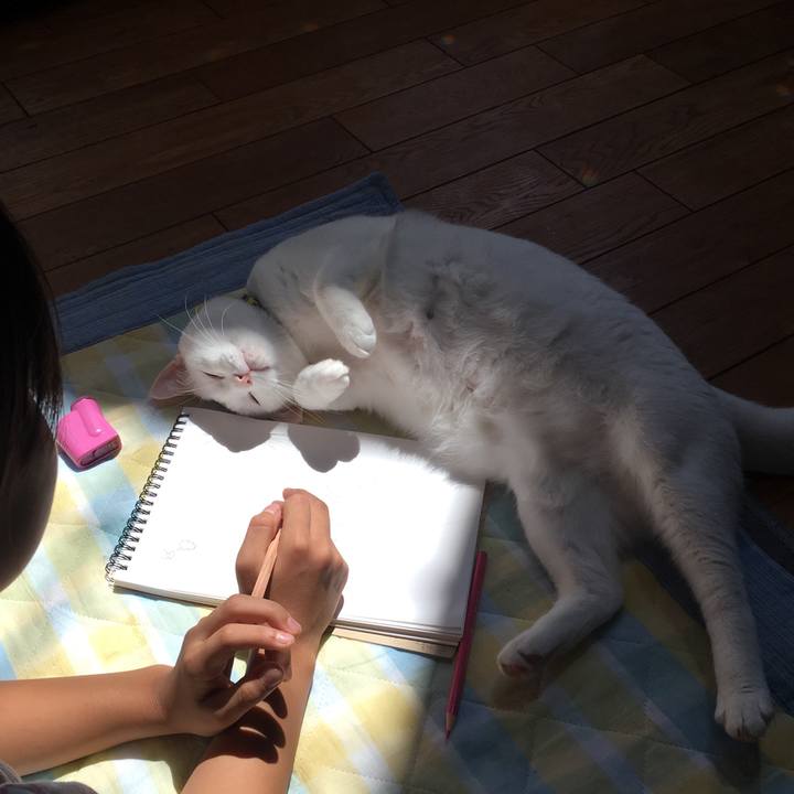 Ff10aa39 9b64 4613 9119 6042fb1c7619