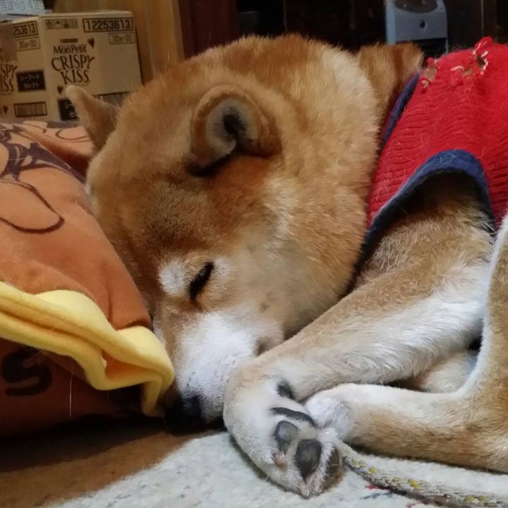 Ff110dba c251 4c0c a87e cfa32a6bed08