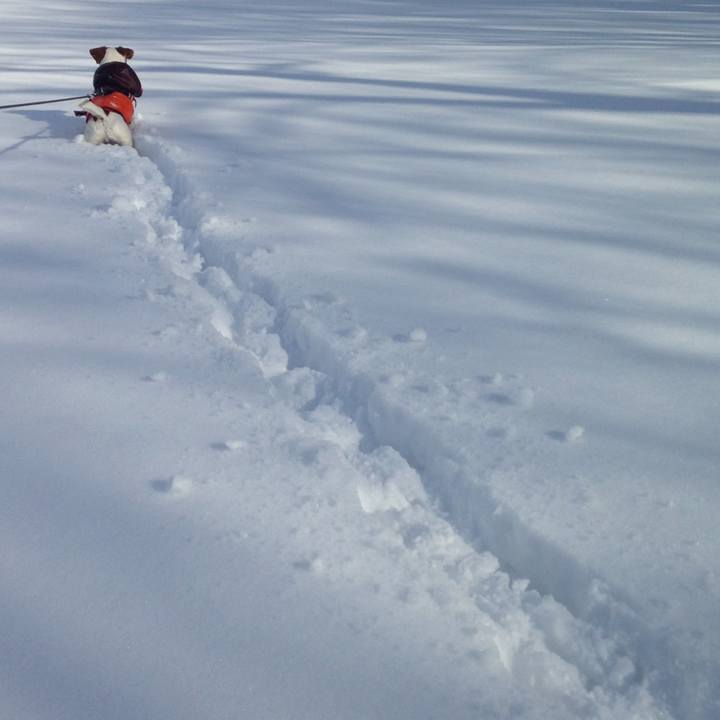 Ff113724 7c58 407d 895e b327991fc3d8