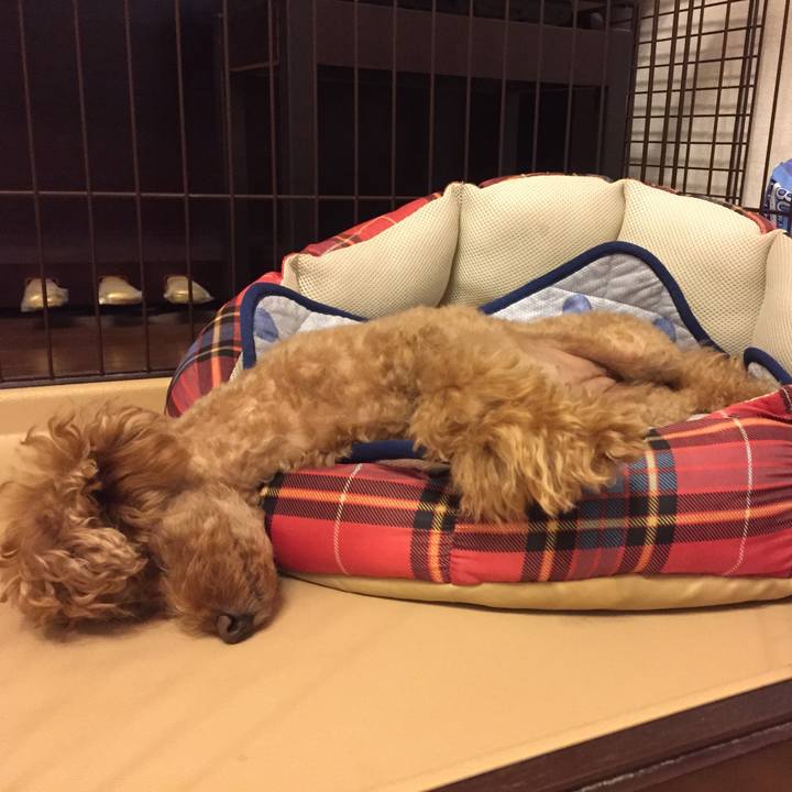 Ff122c0e 3b8e 4bcc af89 7b4e32e89afb