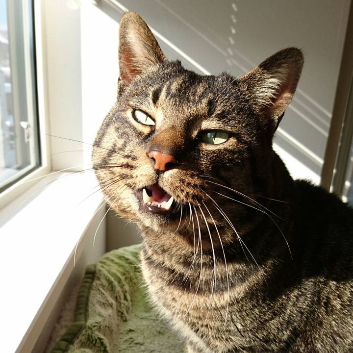 Ff1234ca e7b1 4d5e 845d 80df52c0ad71