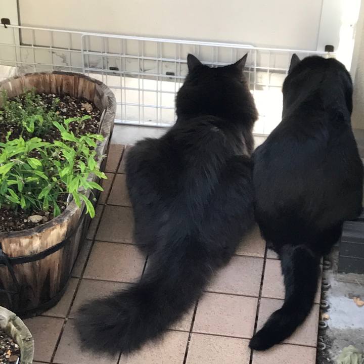 Ff127123 b08c 4025 8e47 32a6ba9b2da6