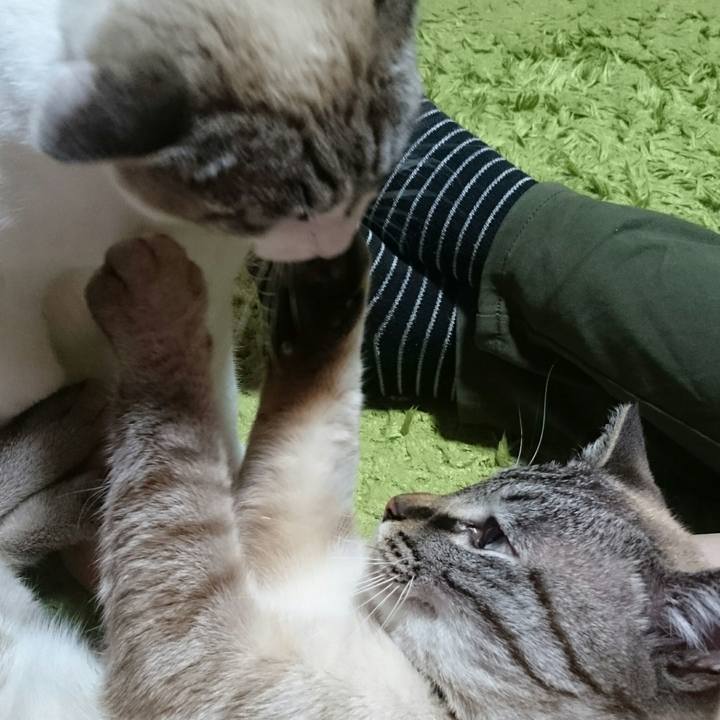 Ff12b8a2 7e96 452b a1ae 088dd4fcff85