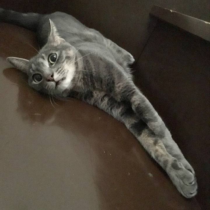 Ff12e667 3351 47d0 8c65 f0584d081a6e