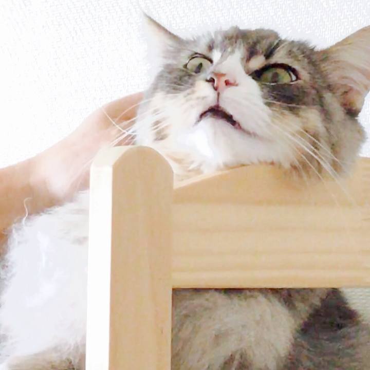 Ff131d22 23b1 4823 b5e8 33acd67ec31c