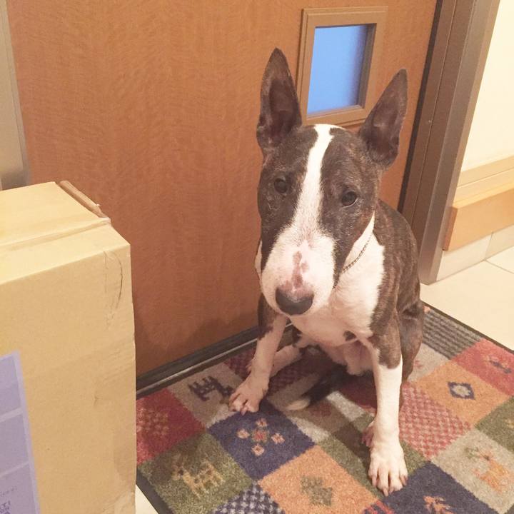 Ff13bf79 9cf5 490d 9caa c25cab4dcd80