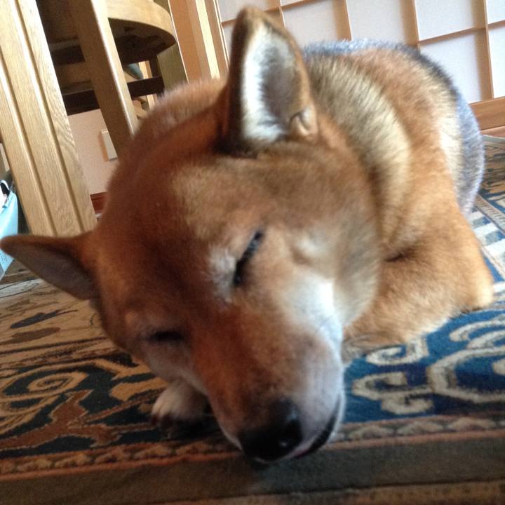 Ff13da25 d339 422d 853e 252d068697e9