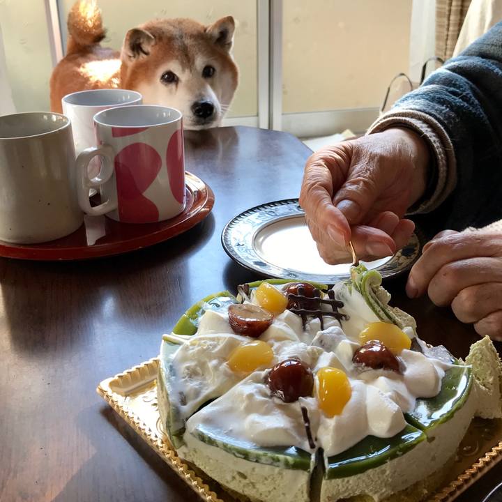 Ff1450fd 8150 4f9c b9ab 35f0241d9f97