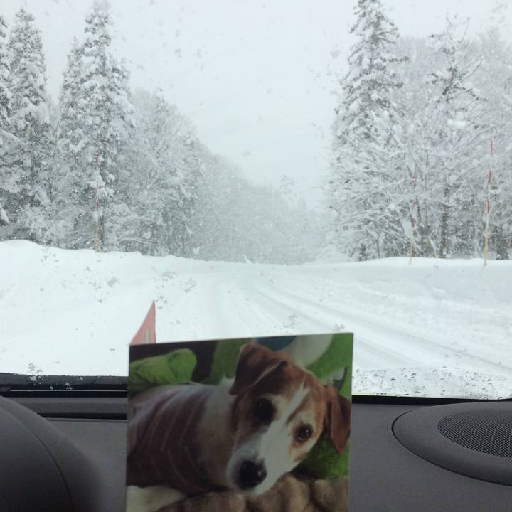 Ff1511b1 7627 43d1 b1c5 c5522f1c2078