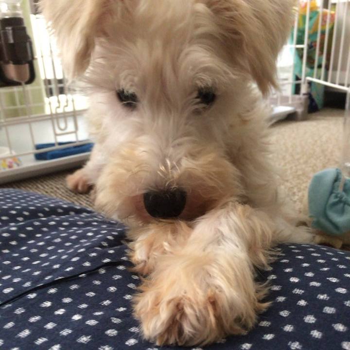 Ff15c781 a997 45ff aa65 4e146843e63c