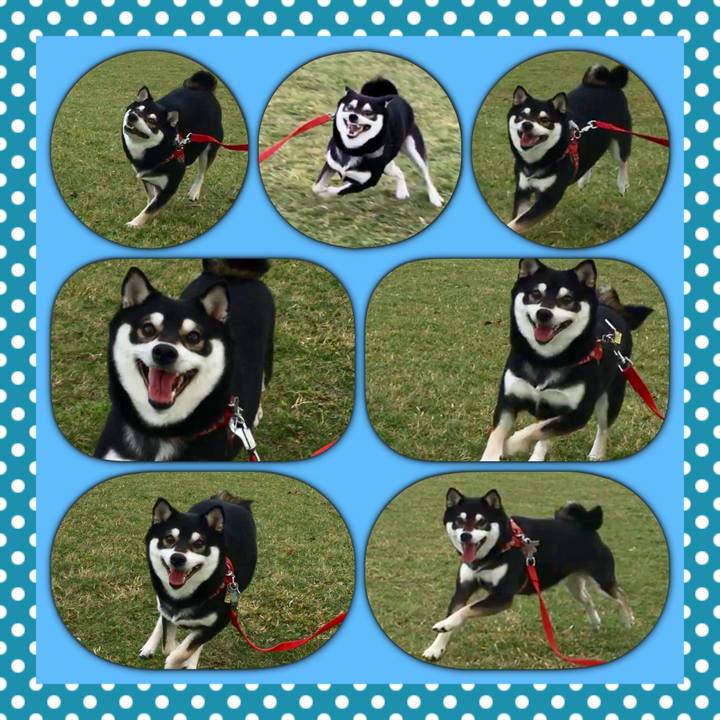 Ff1741c2 3e30 4514 9a7d 7d866812ca1d