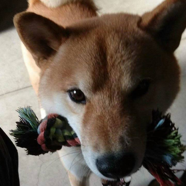 Ff17744e 4723 4c8c bfb4 44ae7f1f4702