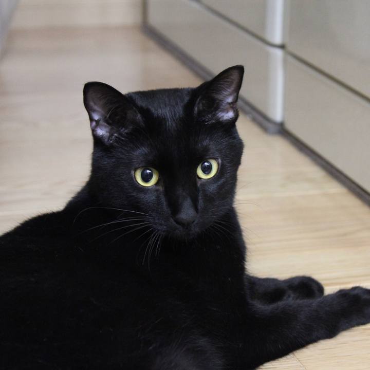 Ff17bd79 f3b7 4fa2 8452 45f595915f1b