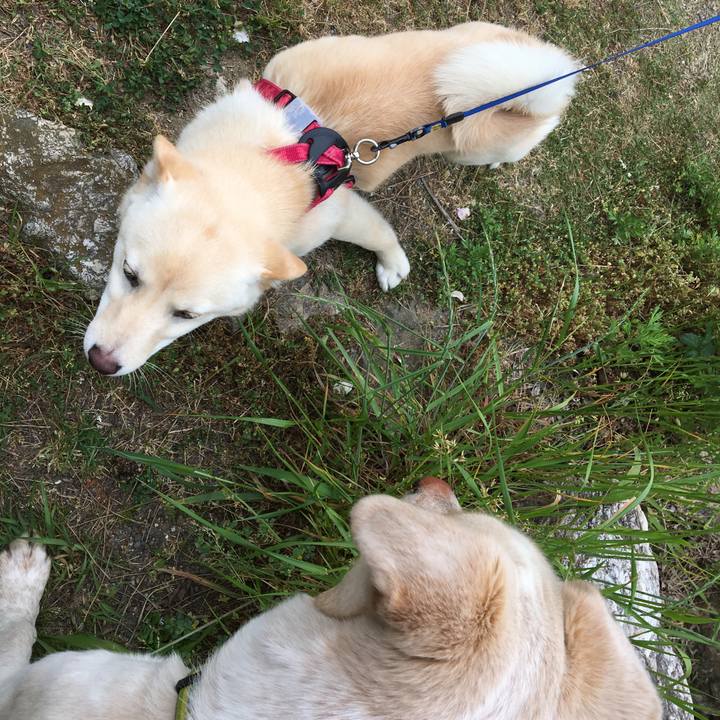 Ff193553 9a57 4e5f a07f 84eaaa18390f