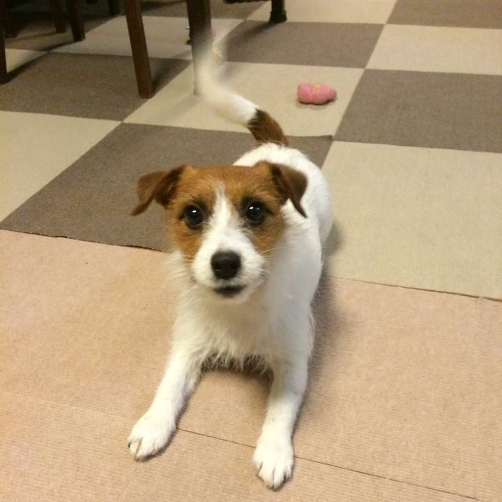 Ff19d6ef 9257 4608 9acf ca7f5f1be243