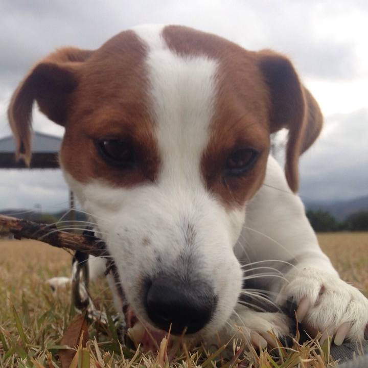 Ff1ac59d f8cb 4bdb be28 6c2fe1409e02