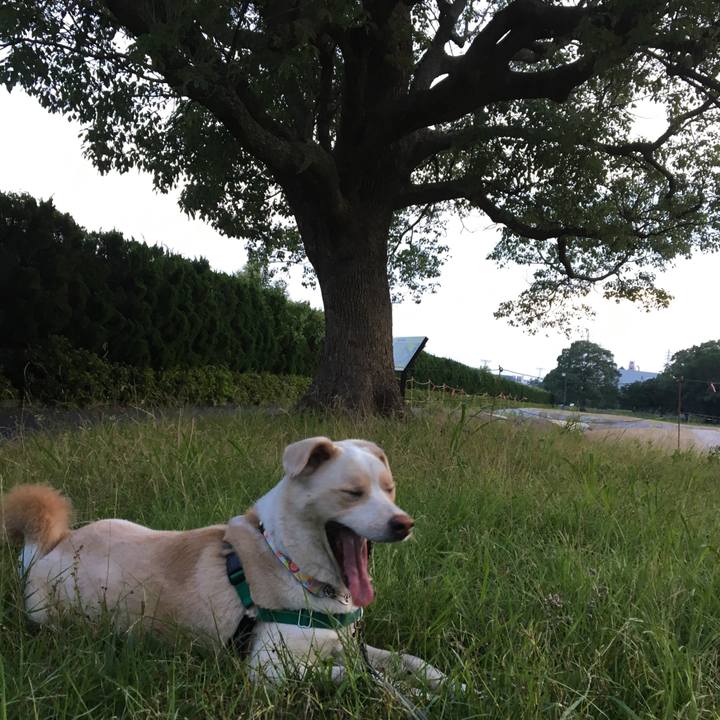 Ff1b2a6d 66a7 4af8 89f3 61491eaab5c9