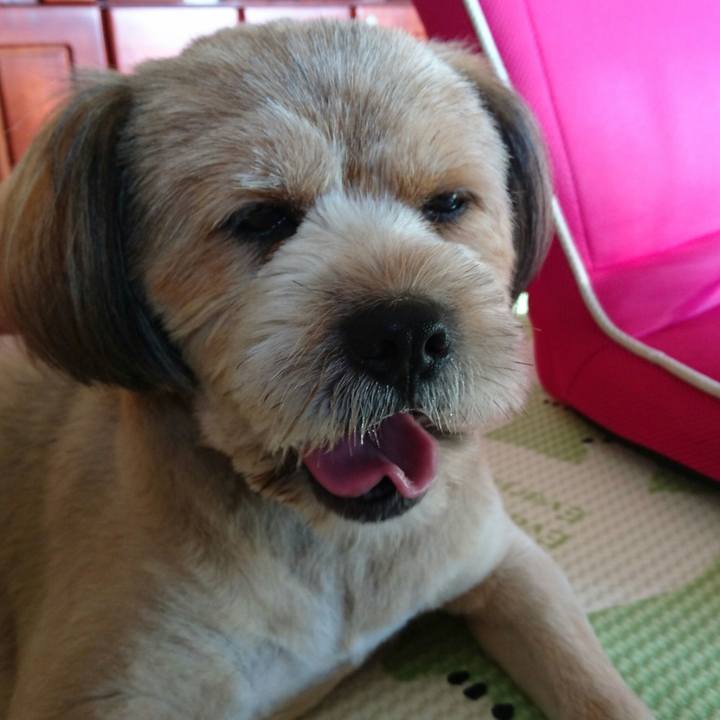 Ff1b87f8 ef37 4c5e ae0b bedf533eb300