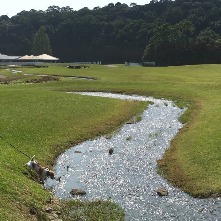 Ff1bc0d9 a147 4a0e 86cc a117b9b94f2f