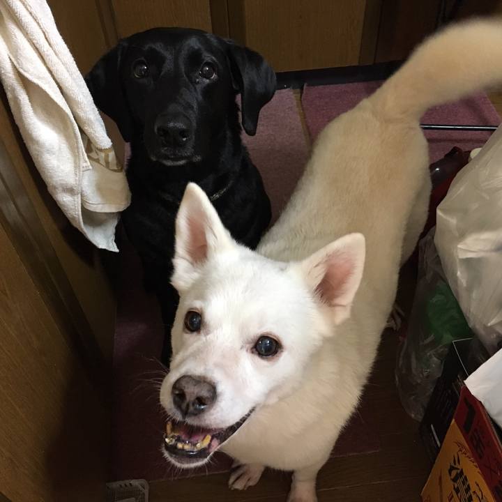 Ff1bd9f5 6372 4e83 b870 c62e3d91add9