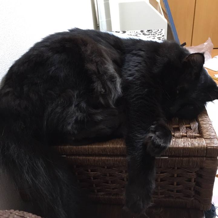 Ff1bf3fe 349a 4c9a 9e2c b70c5f01b6e7