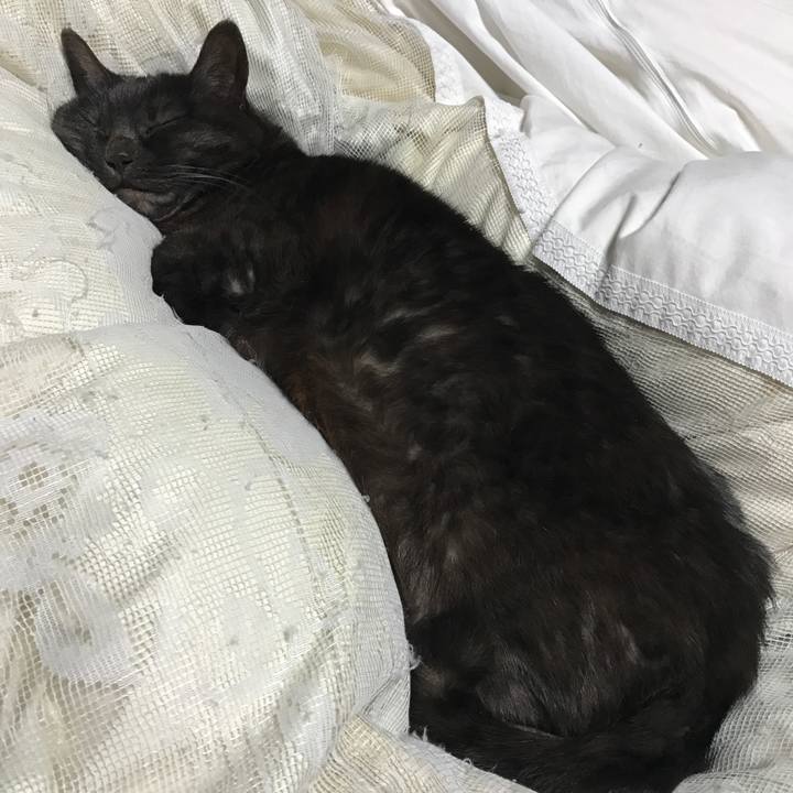 Ff1c71d0 c952 4a8c a025 a942fe8c272f