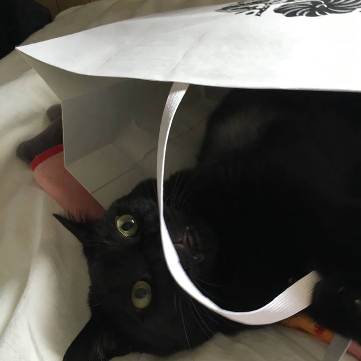 Ff1c84de 0331 4d77 8097 edd23d850728