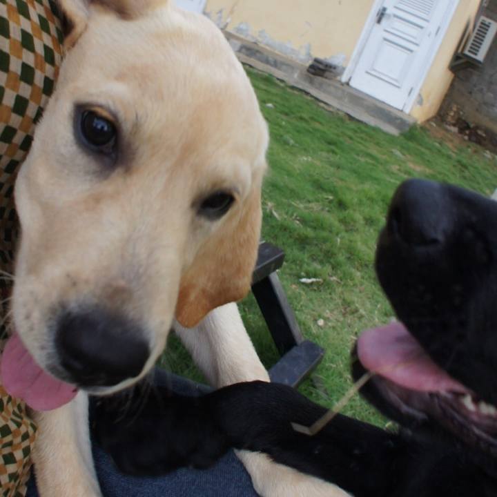 Ff1c8538 d3bc 45cf a3e4 36ed533466bd