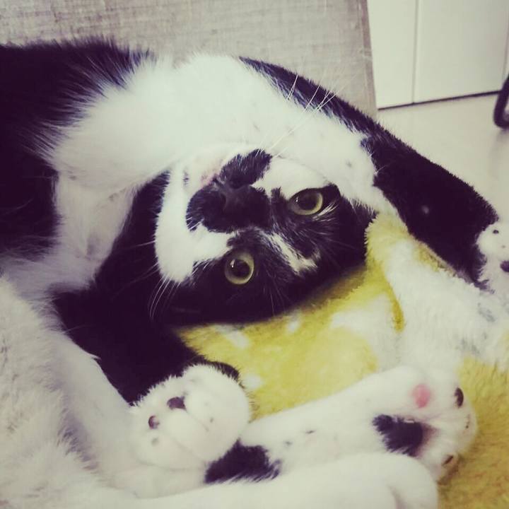 Ff1cf493 b414 4df1 87a5 25edd701384d