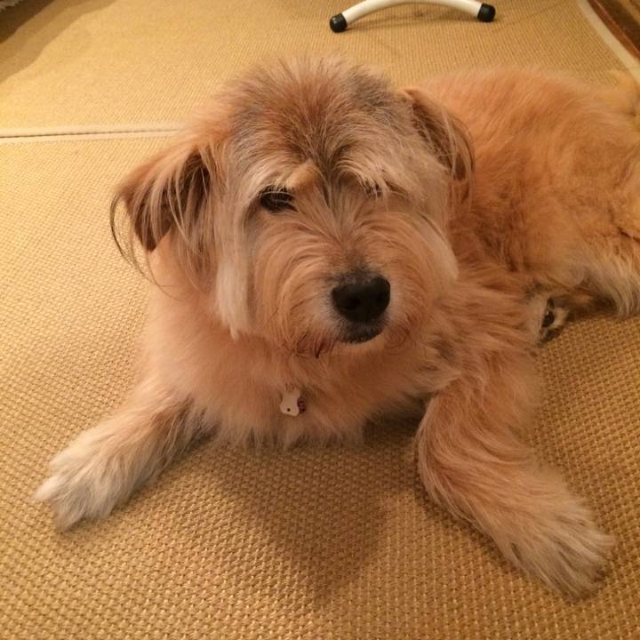 Ff1e124d 3f2c 40a7 ba26 3059c7314e81