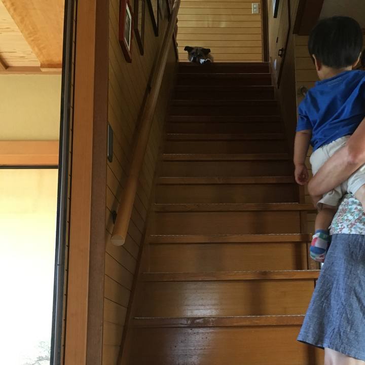 Ff1fb2a0 84e7 49db a922 e25cd92b46f4