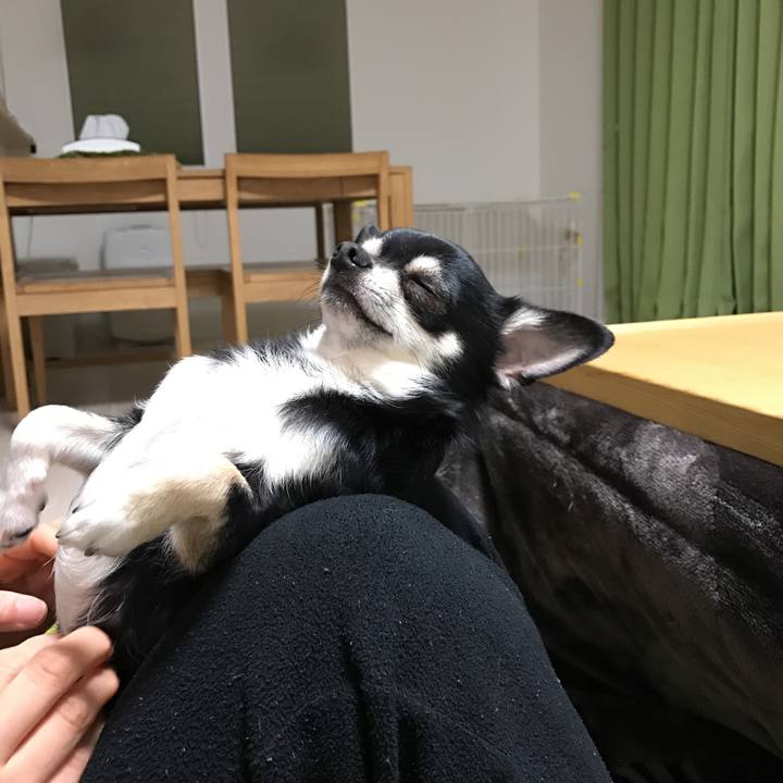 Ff202e36 2ad3 4595 839f e53fc5fb1679